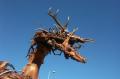 LES DRAGONS EN BOIS