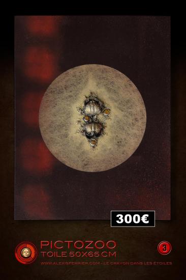 50x65 3p