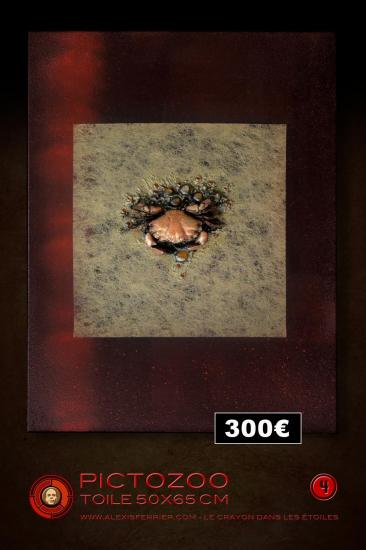 50x65 4p