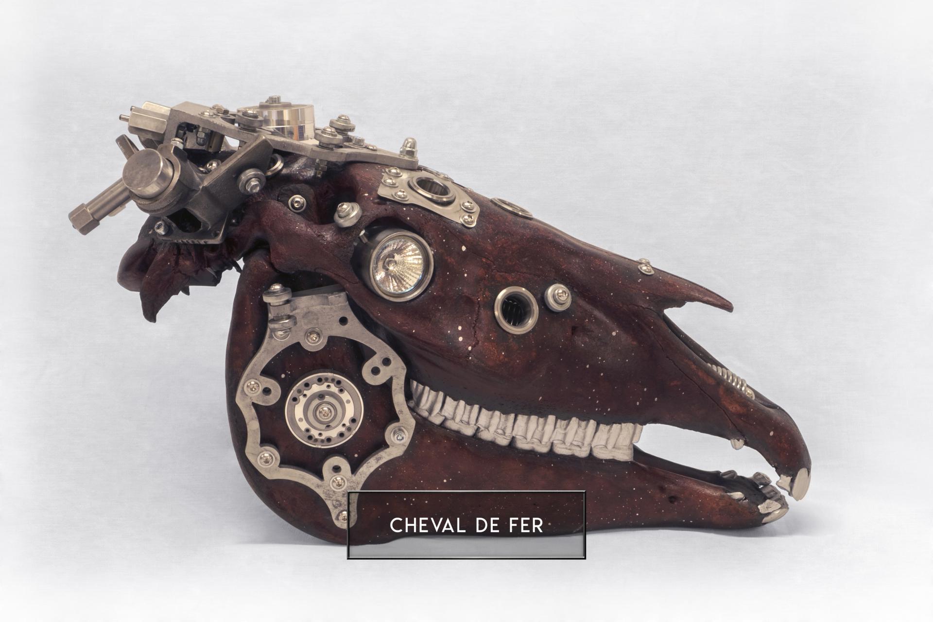 Cheval de fer