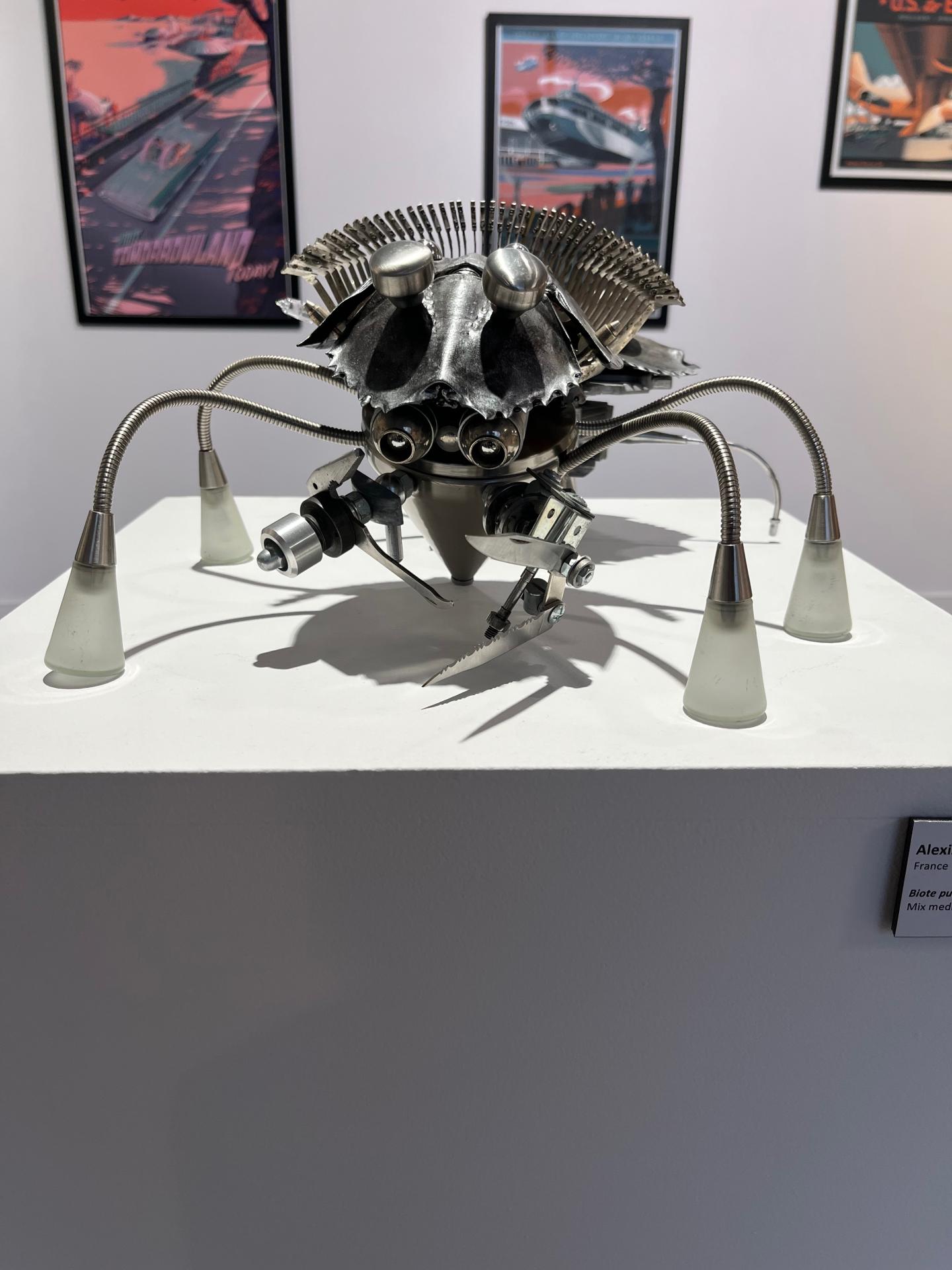 Img 3378