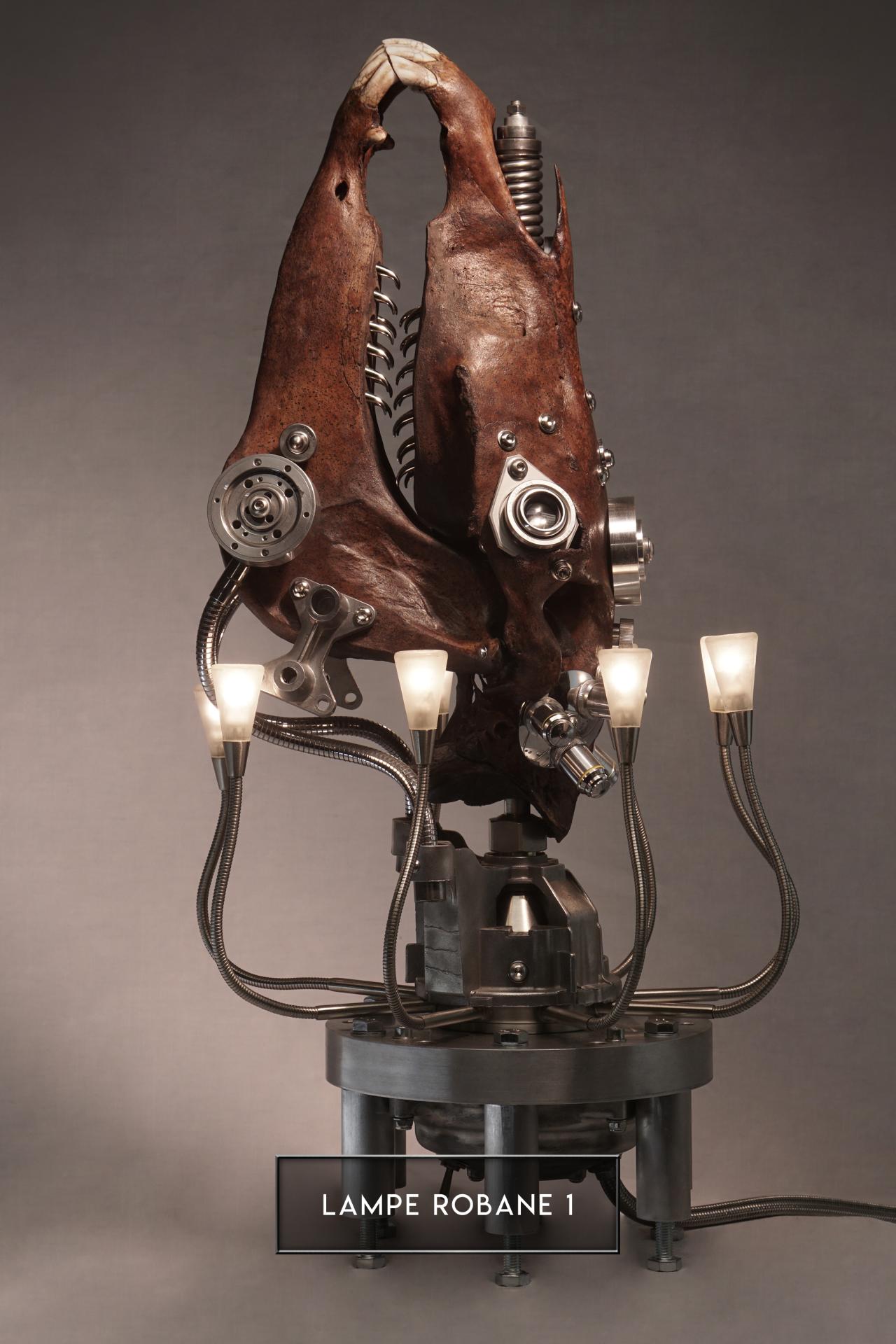 Lampe robane 1